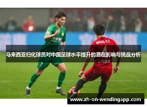 马来西亚归化球员对中国足球水平提升的潜在影响与挑战分析