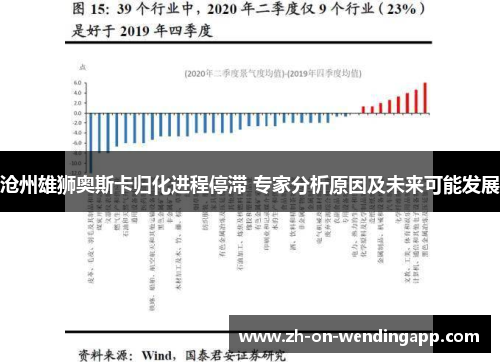 沧州雄狮奥斯卡归化进程停滞 专家分析原因及未来可能发展